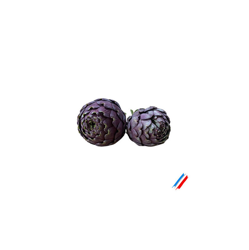 2 Artichauts violet bio